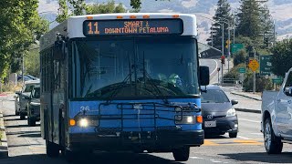 Buses Around Petaluma + Featuring Bus 36 the squeaker Unit.