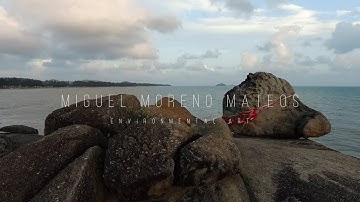 Miguel Moreno Mateos   Environmental Art