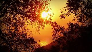 Rtm010 09 01 Celeste Full