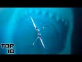 Top 10 Deep Sea Discoveries That Prove The Megalodon Existed