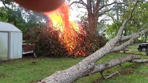 Slow Blow Sally Burn Pile