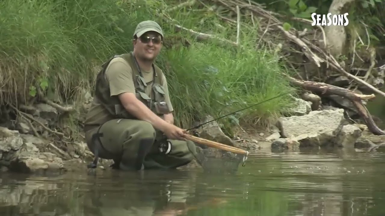 Histoires de nymphes et de mouches