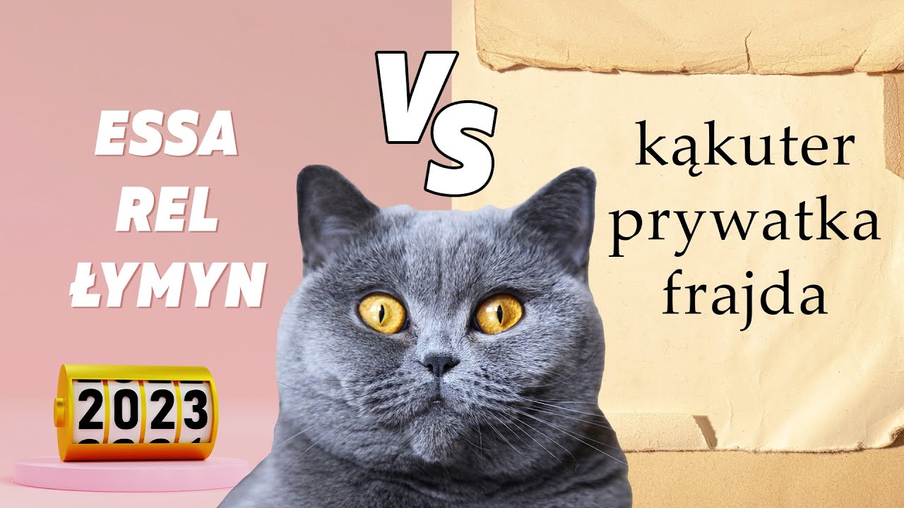 Co mówią: STARE KOTY