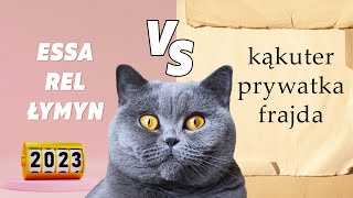 What they say: OLD CATS