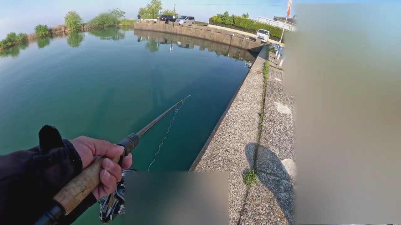 琵琶湖　長浜港　57ｃｍ