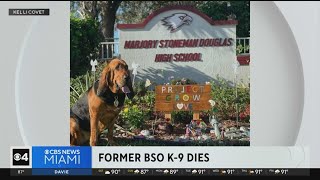 Former Broward County Sheriff's K-9 Macie dies