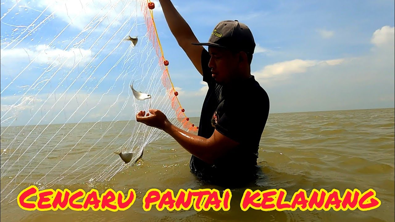 Memukat Di Pantai Kelanang//Cencaru, selangat, ikan susu, ikan yu semua dapat.#gengdunia
