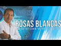 ROSAS BLANCAS - NENITO VARGAS Y LOS PLUMAS NEGRAS