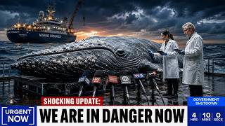Scientists Translated Whale Speech for the First Time… What They Heard Is TERRIFYING