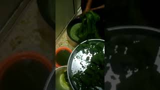 how to treat your Poultry with bitter leaf