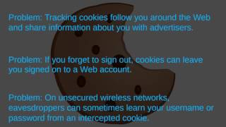 Lesson 20: Safely Navigating the Web screenshot 5