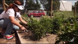 Cross-Sector Collaboration Improves Health in Brownsville, Texas