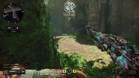 BO4 Tigershark burst is too good