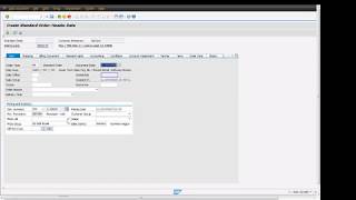 SAP S/4 HANA Sales Order Header tab Sales View