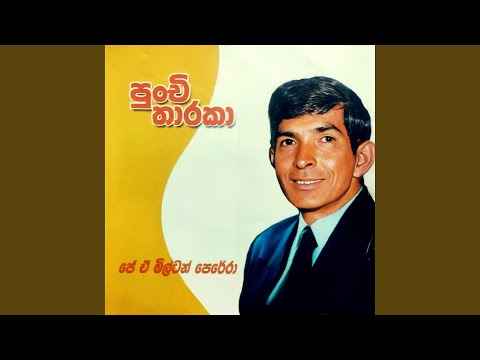 Baluwe Nane Mage Diha - Milton Perera video thumbnail