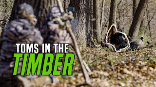 TOMS IN THE TIMBER | Run and Gun Youth Turkey Hunting