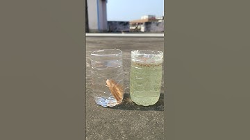 ENO Experiment With Biscuit #shorts