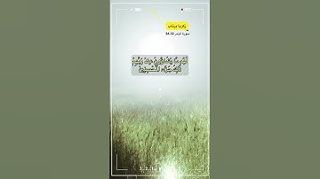 سورة الزمر الاية 32-36