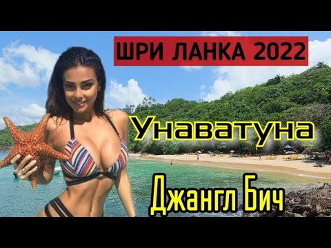 Видео: 2022 оны улсын нэгдсэн шалгалтын шалгалт - Орос дахь хичээлийн хуваарь