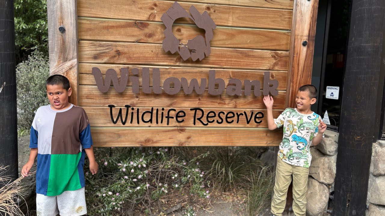 Learning Animals at Willowbank Reserve 