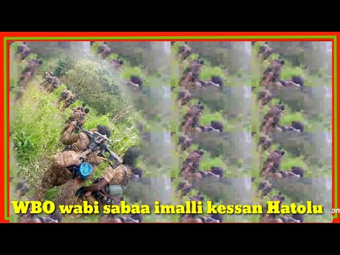 Walalo WBO Milkin Gali WBO Wabi Saba Oromo 16 August 2022