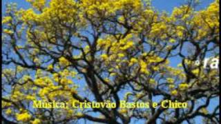 Video thumbnail of "Todo Sentimento - Chico Buarque"