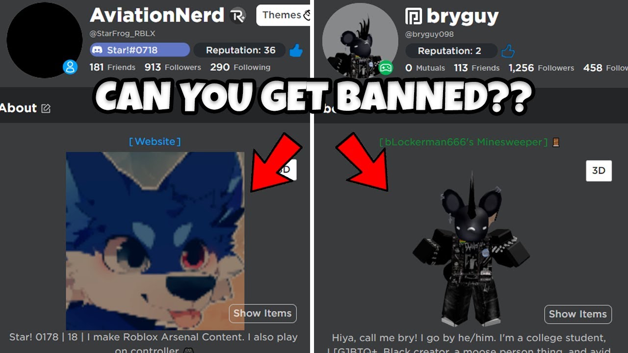 so i've been banned from roblox for 3 days and this is my avatar, i have  family on this account. : r/RobloxAvatars