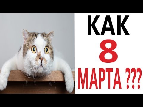Лютые приколы. КОТ И 8 МАРТА!!! Самое смешное видео! Засмеялся проиграл! – Domi Show!