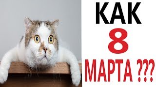 Доми Шоу 2022 Год Новые