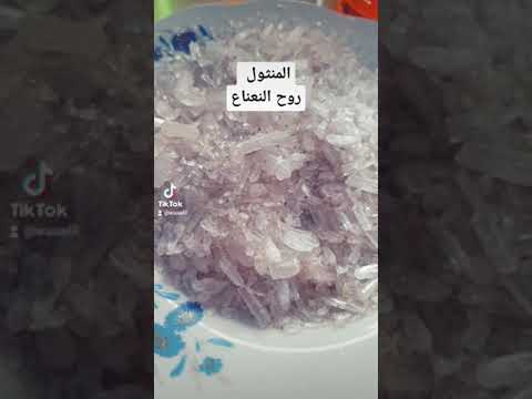 المنثول روح النعناع