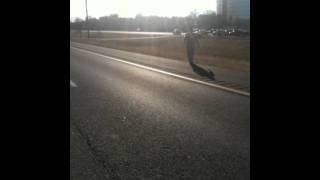 Route 95 south