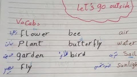 كونكت بلس كي جي2 الترم الاول  kg2 unit3 connect plus