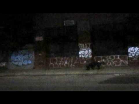 thumbnail img16x9