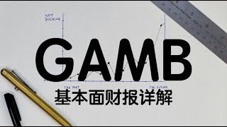 【投资美国】 GAMB 基本面财报详细分析
