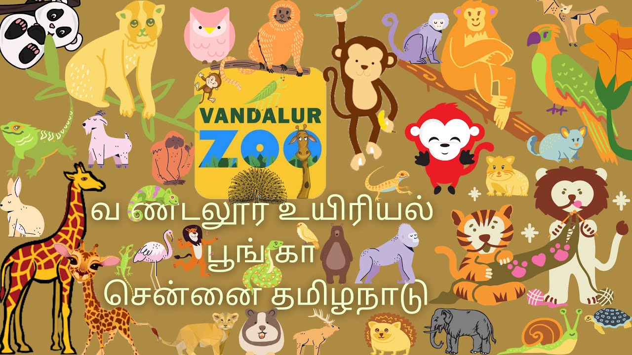 vandalur zoo live/Vandalur Zoo/chennai/Tamil Nadu//arignar anna