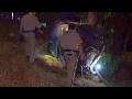 Driver Trapped After Crashing Into Tree Along SR-94 In Lemon Grove