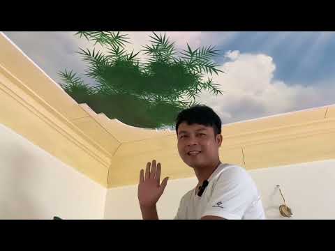 Video Vẽ cây trúc trần mây 3d, cách vẽ cây trúc đơn giản... - youtube