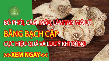 Bạch cập có tác dụng  cầm máu, bổ phổi, làm tan máu ứ hiệu quả nhưng cần đặc biệt lưu ý điều này