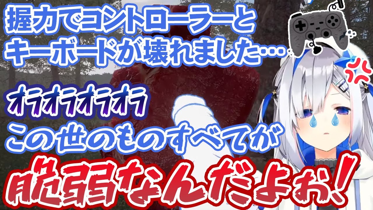 その握力でコントローラーとキーボードまで壊し、怒りと悲しみを込めて生肉を殴り続ける天音かなた【ホロライブ切り抜き】