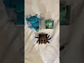 unboxing harry potter cutie cuffs! 🙂↔️ #harrypotter #hogwarts