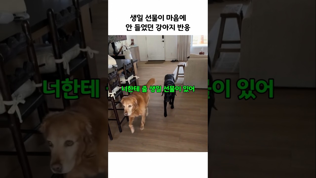 수영장 막으려고 했는데 입구가 생김...