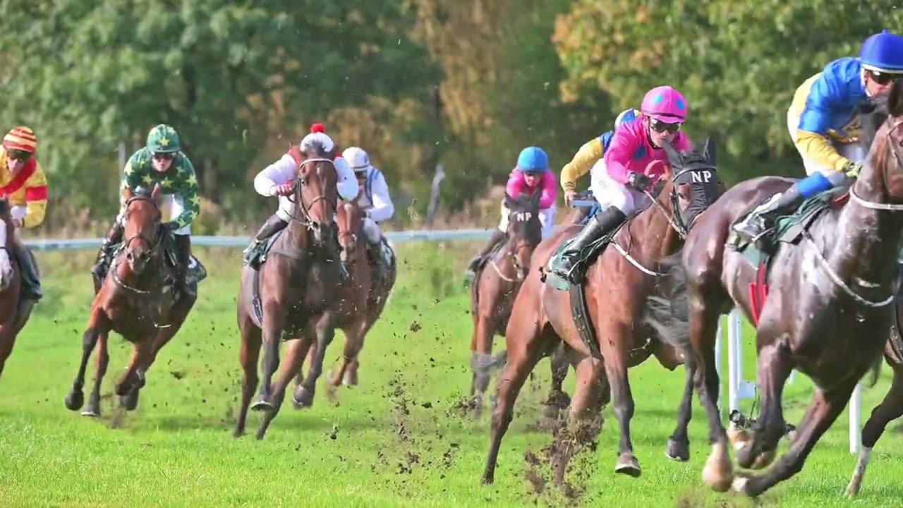 Øvrevoll Galoppbane / 01.10.2023 / 11:45 Cet / Race #3 / 1980Gr / Breeders Prize Classic 2023