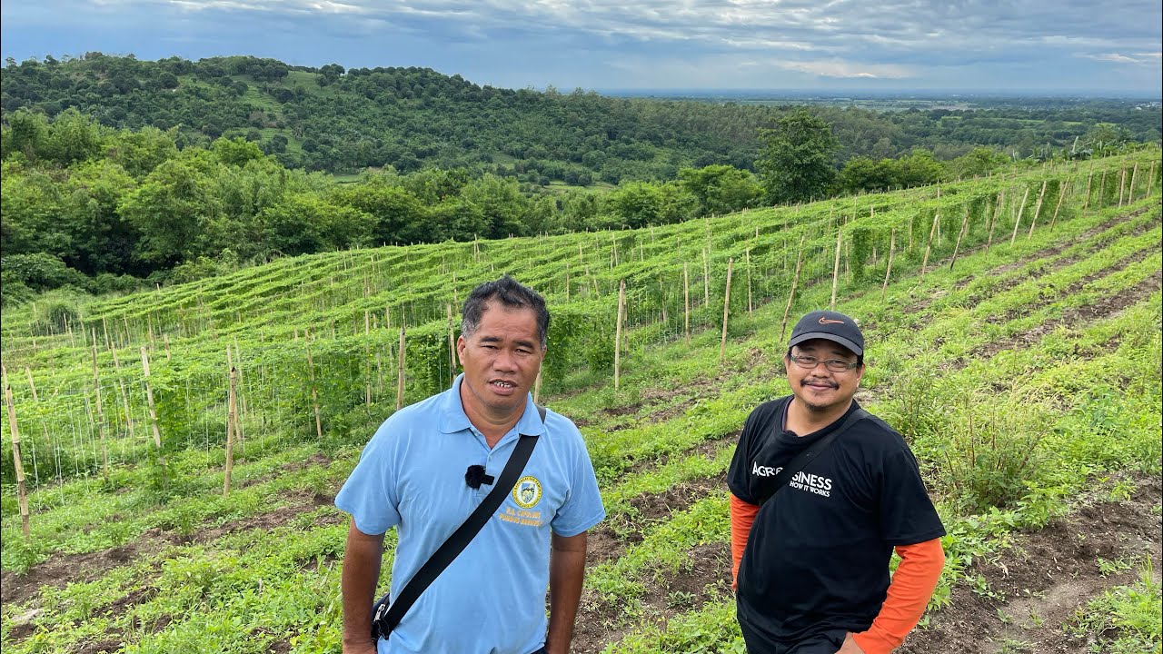 ⁣MGA DISKARTE PARA KUMITA ng MALAKI sa VEGETABLE FARMING