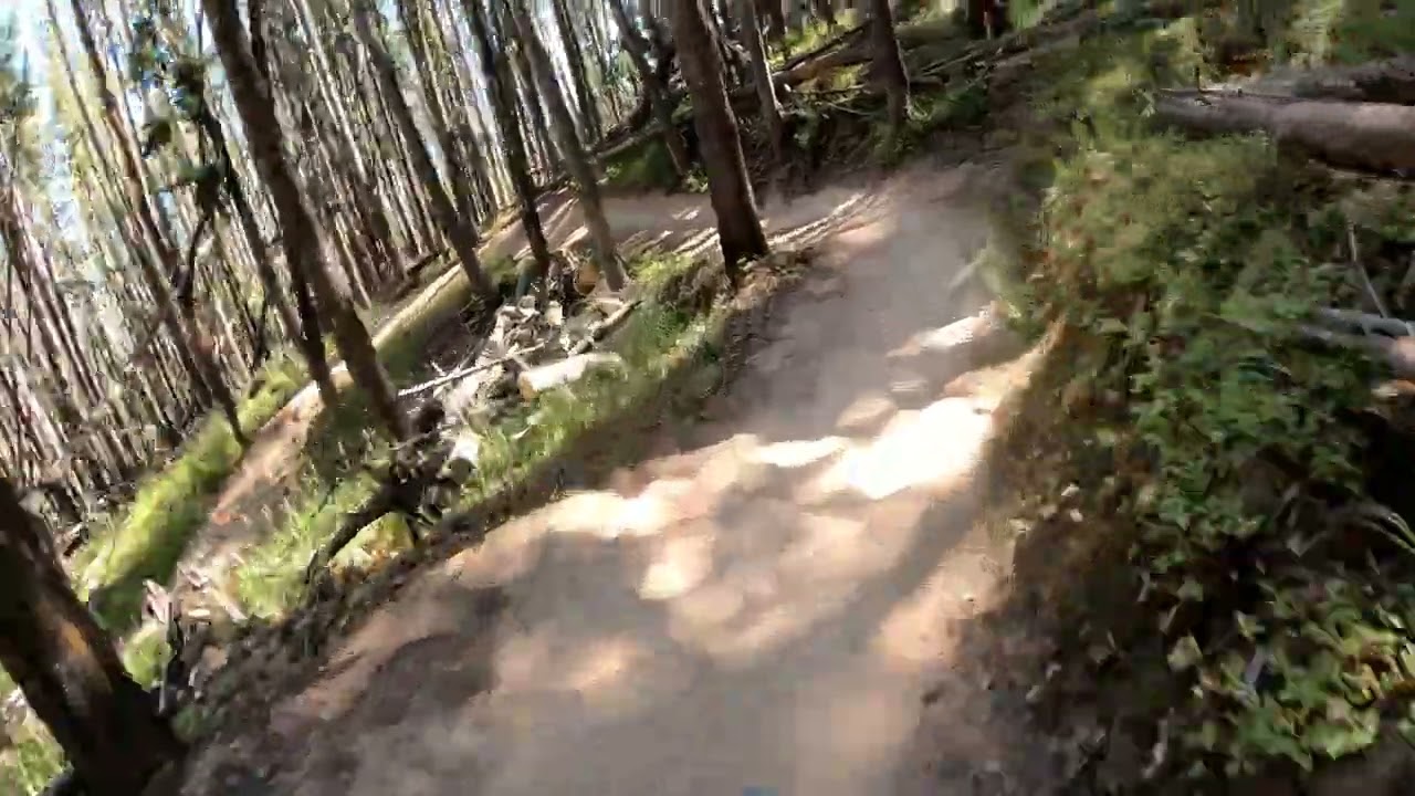 Downhill Mountain Biking at Vail Mountain YouTube