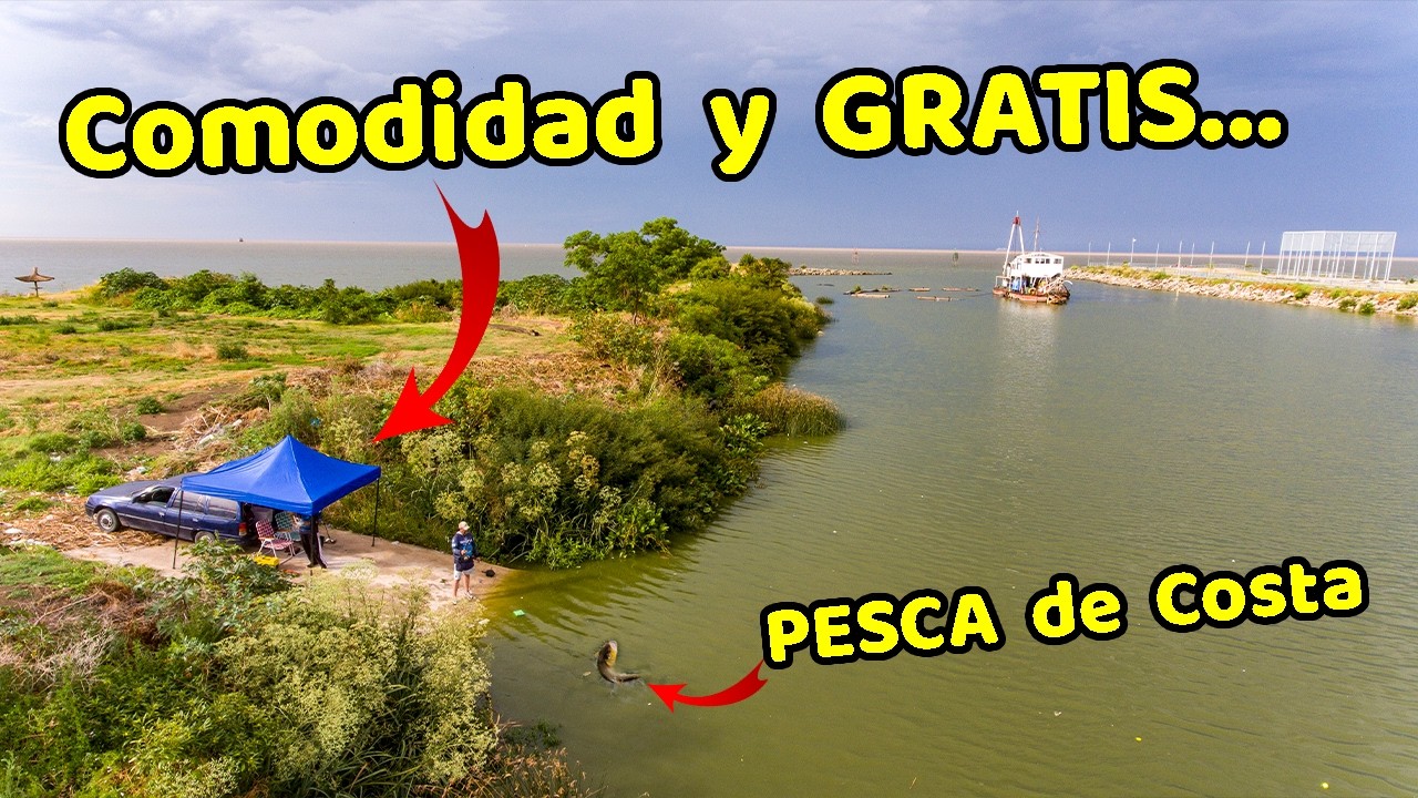 Pesca de Costa - LUGAR GRATIS  Mucha Comodidad Naturaleza y muy buena pesca en el Rio de la Plata 🔥🎣