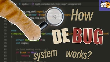 What is debug and how debugger works？