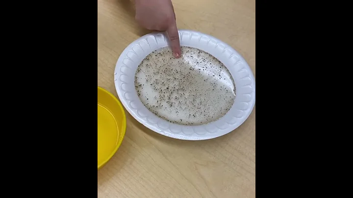 Hand washing teaching moment 3-2020