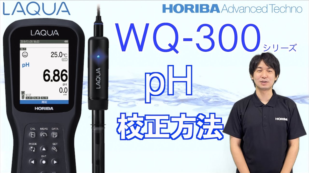 HORIBA WQ-330J 水質測定器+電極2本 HORIBA う WQ-330J 水質測定器+電極2本
