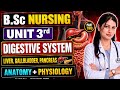B.Sc Nursing Digestive System Full Unit | Anatomy &amp; Physiology | Unit 3 Complete