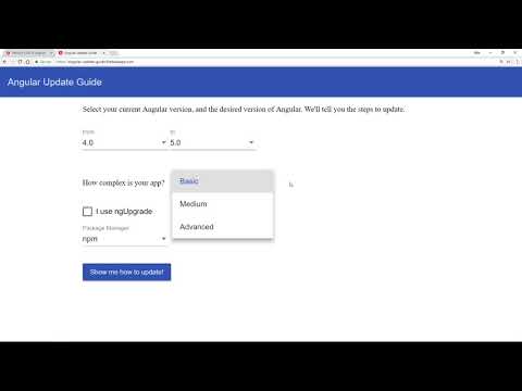 Bonus: Angular Update Guide by Stephen Fluin